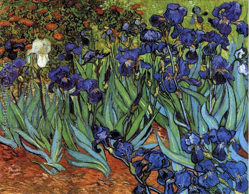 1000x777 Irises Vincent Van Gogh Reproduction 1st Art Gallery - Irises Painting