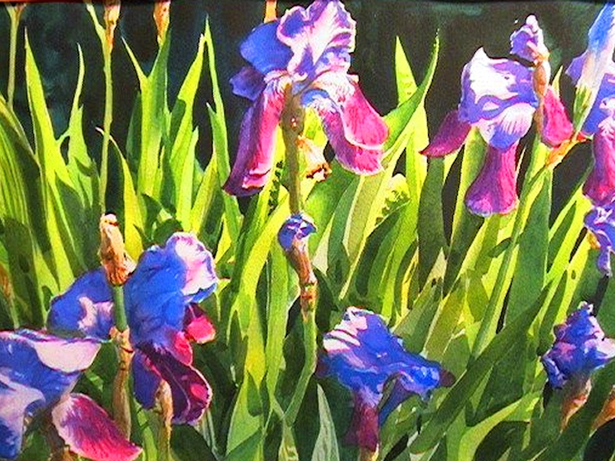 1263x947 Painting The Purple Iris - Irises Painting