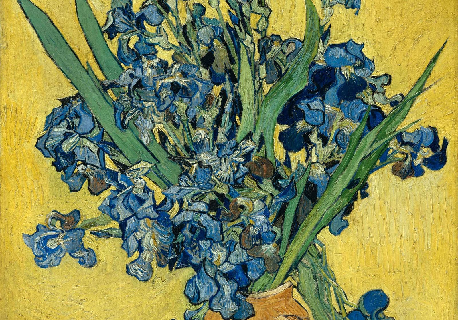 1600x1119 Van Gogh - Irises Painting