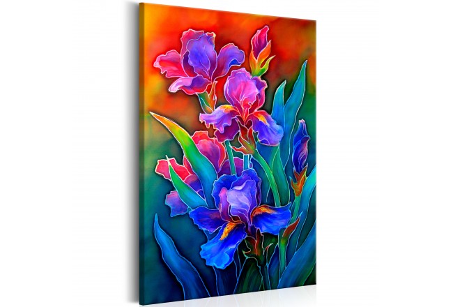 650x440 Canvas Print Rainbow Irises - Irises Painting