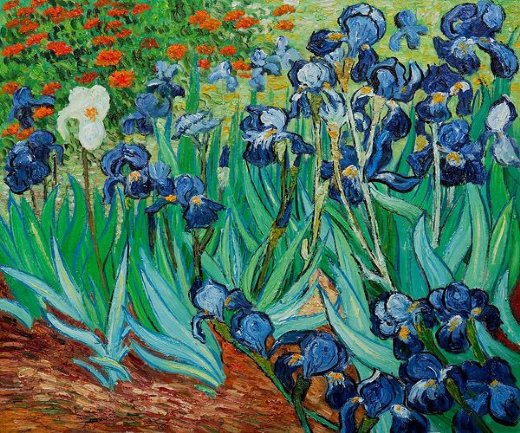 520x433 Vincent Van Gogh Irises Ii Paintings For Sale - Irises Painting