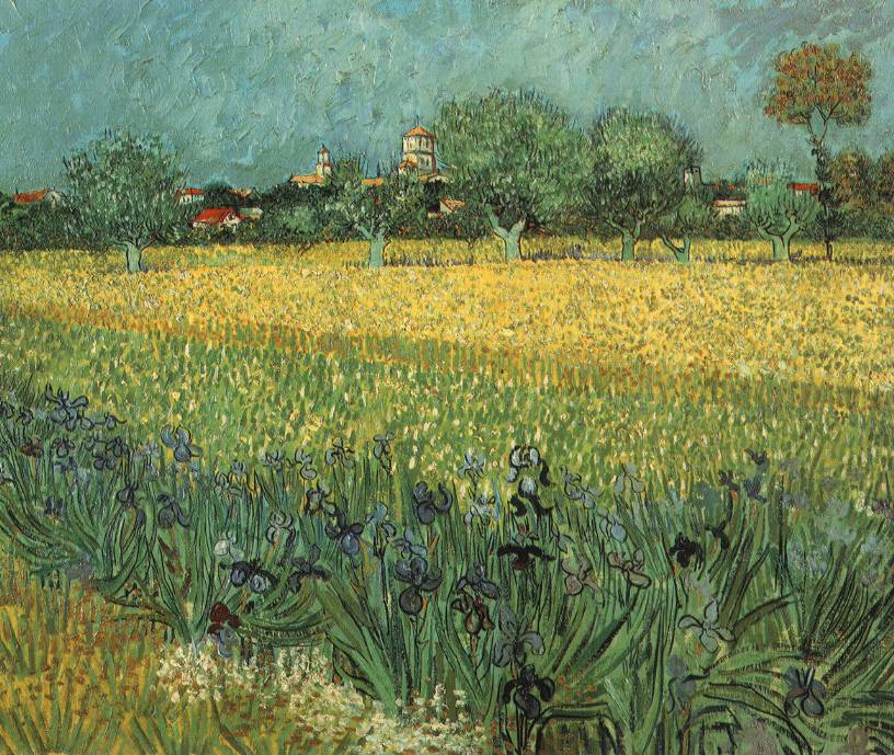 816x689 Filevangogh View Of Arles With Irises.jpg - Irises Painting