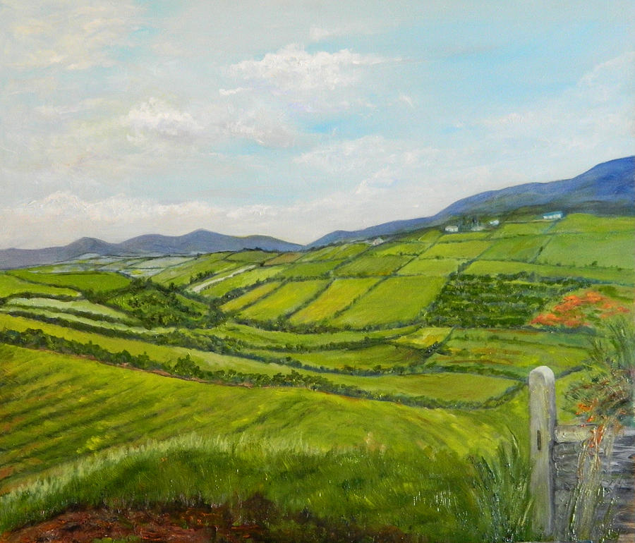 900x770 Irish Fields - Irish Landscape Painting