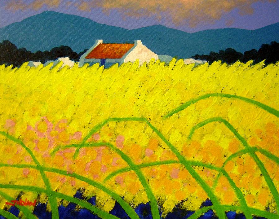 900x707 Yellow Meadow Ireland Painting By John Nolan - Irish Landscape Painting
