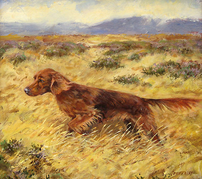 652x577 Irish Setter In Field Original Oil Painting By Dog Specialist - Irish Painting