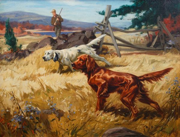 600x455 Fine Art English Amp Irish Setter By Henry Hintermeister Hy Hint - Irish Setter Painting