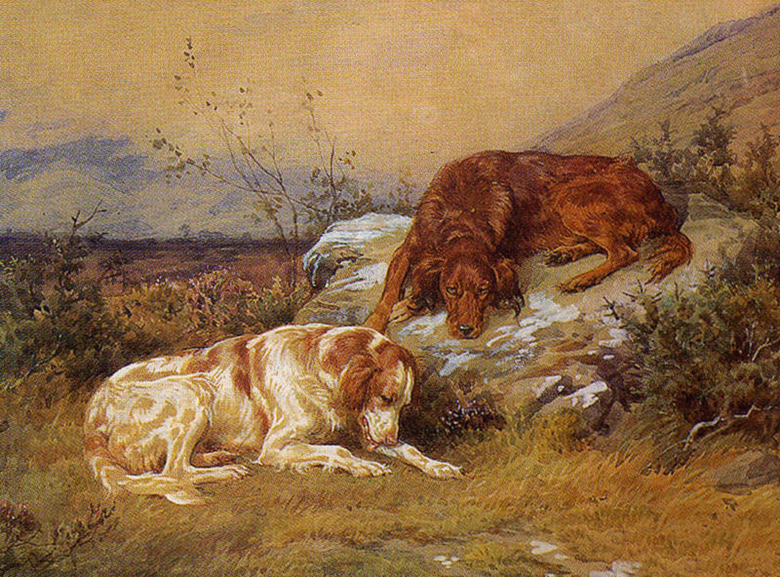 1600x1184 George Teasdale Buckell On The Origin Of The Red Irish Setter - Irish Setter Painting