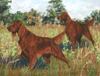 328x250 Isprintsstationary - Irish Setter Painting
