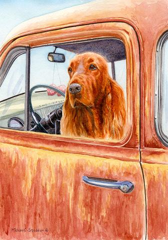 336x480 Irish Setter Art Michael Steddum - Irish Setter Painting