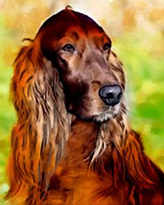 236x295 Irish Setter Dog Art Print, Painted By Dottie Dracos, Happy Red - Irish Setter Painting