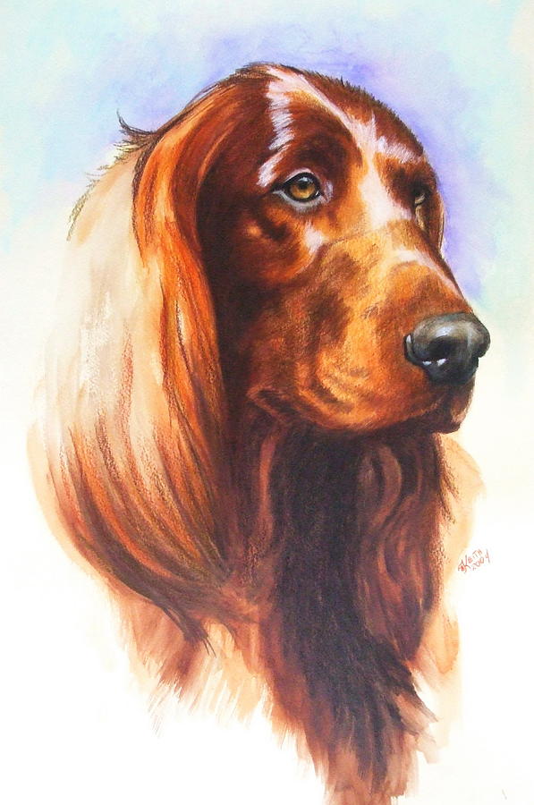 597x900 Irish Setter Painting By Barbara Keith - Irish Setter Painting