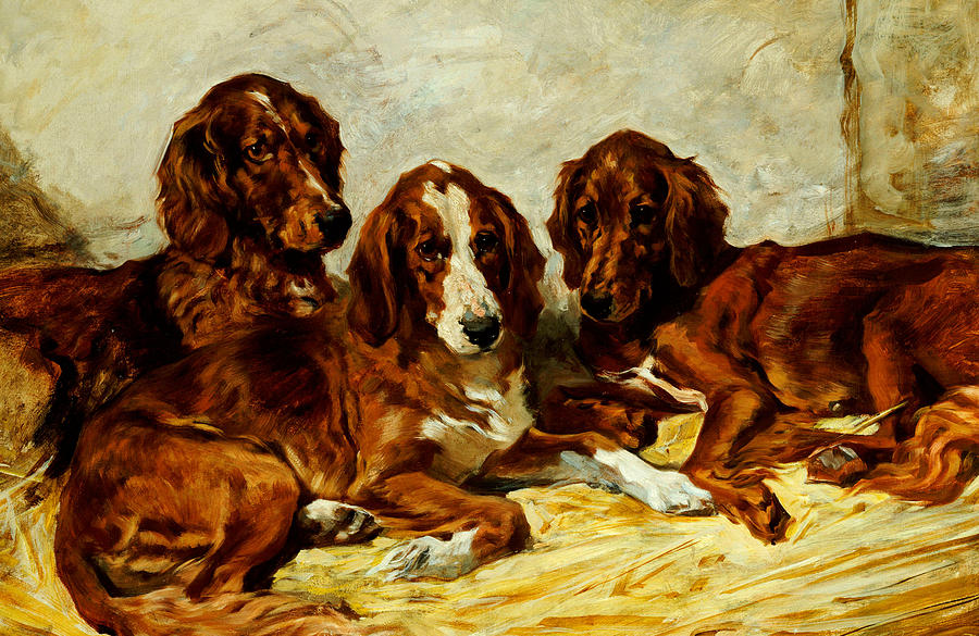 900x585 Three Irish Red Setters Painting By John Emms - Irish Setter Painting