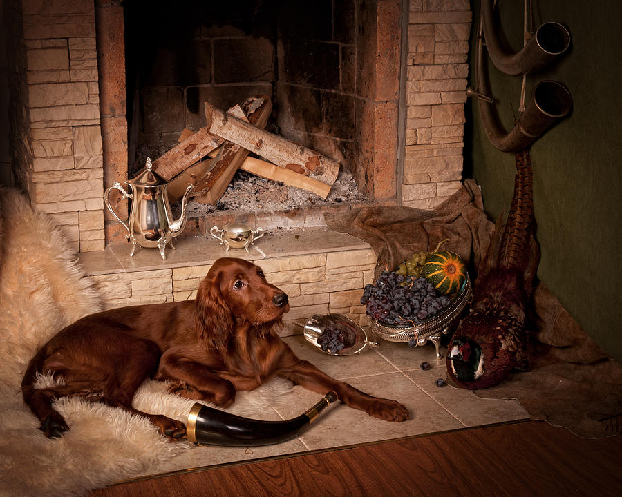 900x720 Young Irish Setter Painting By Tanya Kozlovsky - Irish Setter Painting