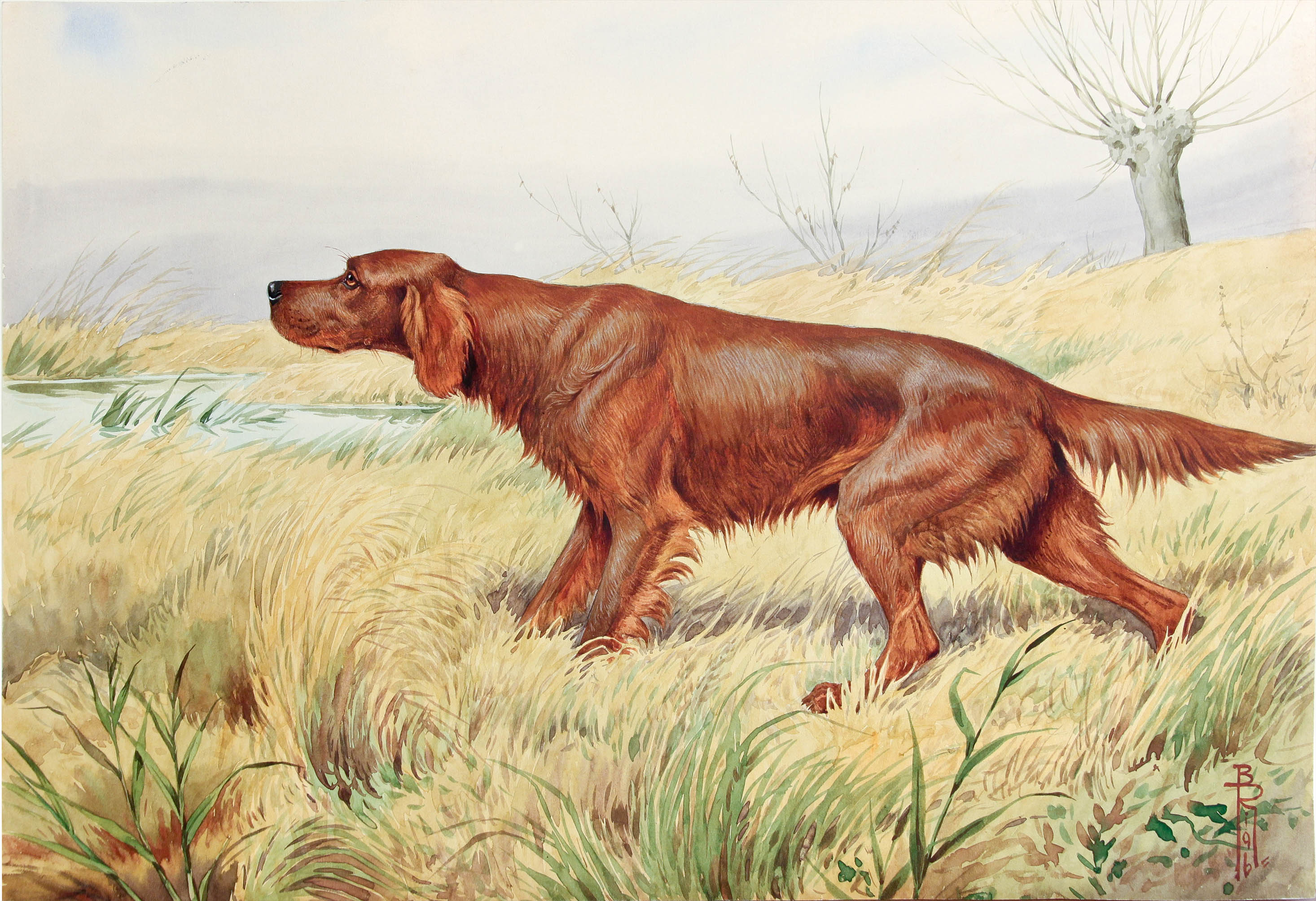 2932x2009 Category Individual - Irish Setter Painting