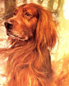 236x296 Dog Art Jen Painting Dog, Dog Paintings And Animal - Irish Setter Painting