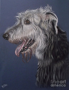 232x300 Irish Wolfhound Paintings Fine Art America - Irish Wolfhound Painting