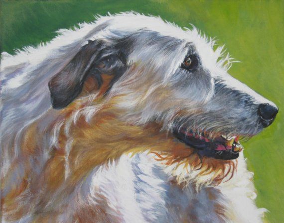 570x448 Irish Wolfhound Dog Art Portrait Canvas Print Of La Shepard - Irish Wolfhound Painting