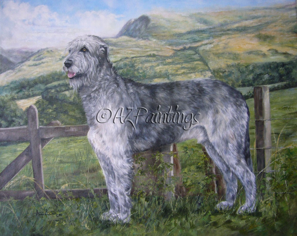 1000x793 Irish Wolfhound In Lake District By Artist Anne Zoutsos, - Irish Wolfhound Painting