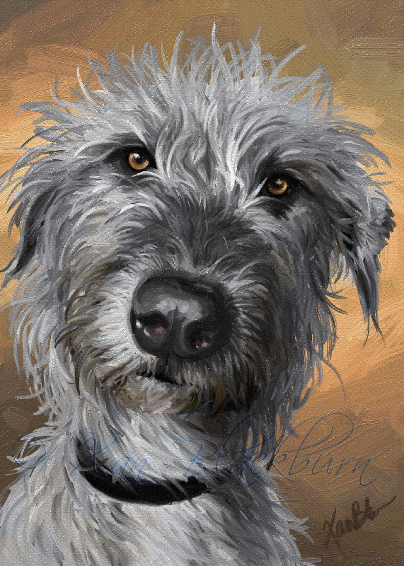 571x800 Roheen, Irish Wolfhound, Done! Xan's Art - Irish Wolfhound Painting