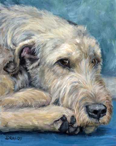 383x480 Dog Paintings (And Cat And Other Animals) By Dottie Dracos - Irish Wolfhound Painting