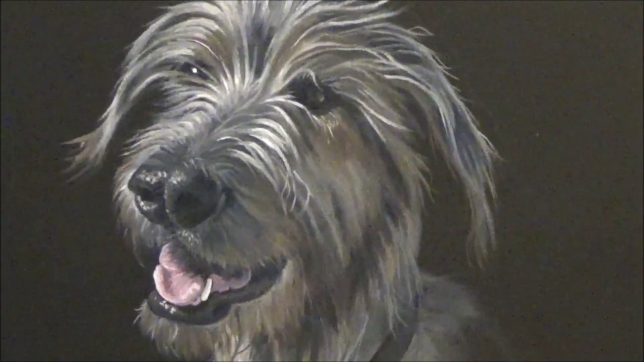 1280x720 How To Paint Dog Portraits - Irish Wolfhound Painting