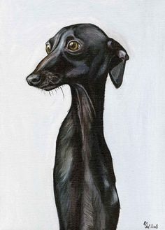 236x329 204 Best Italian Greyhound Art Images On Greyhound Art - Italian Greyhound Painting