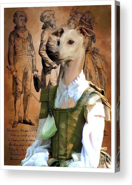 538x750 Italian Greyhound Art Canvas Print - Italian Greyhound Painting