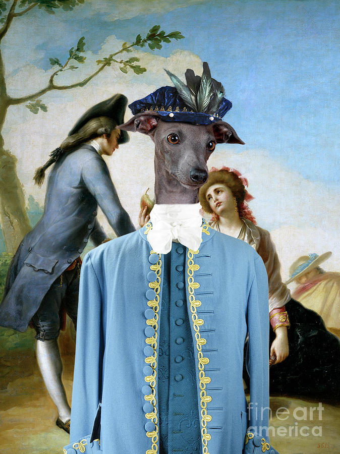 674x900 Italian Greyhound Art Canvas Print - Italian Greyhound Painting