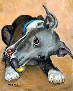 240x300 Italian Greyhound Paintings Fine Art America - Italian Greyhound Painting