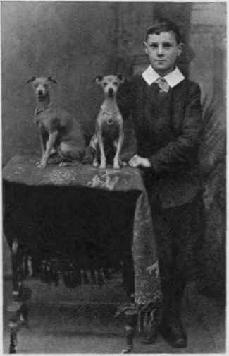 325x504 Miss Mackenzie - Italian Greyhound Painting