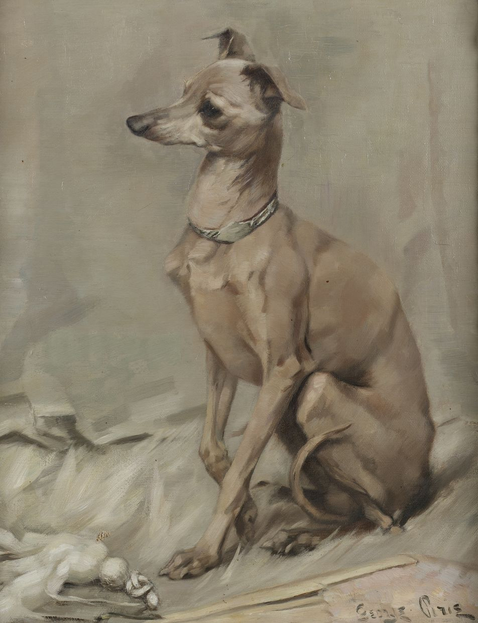 952x1241 Stock Page - Italian Greyhound Painting