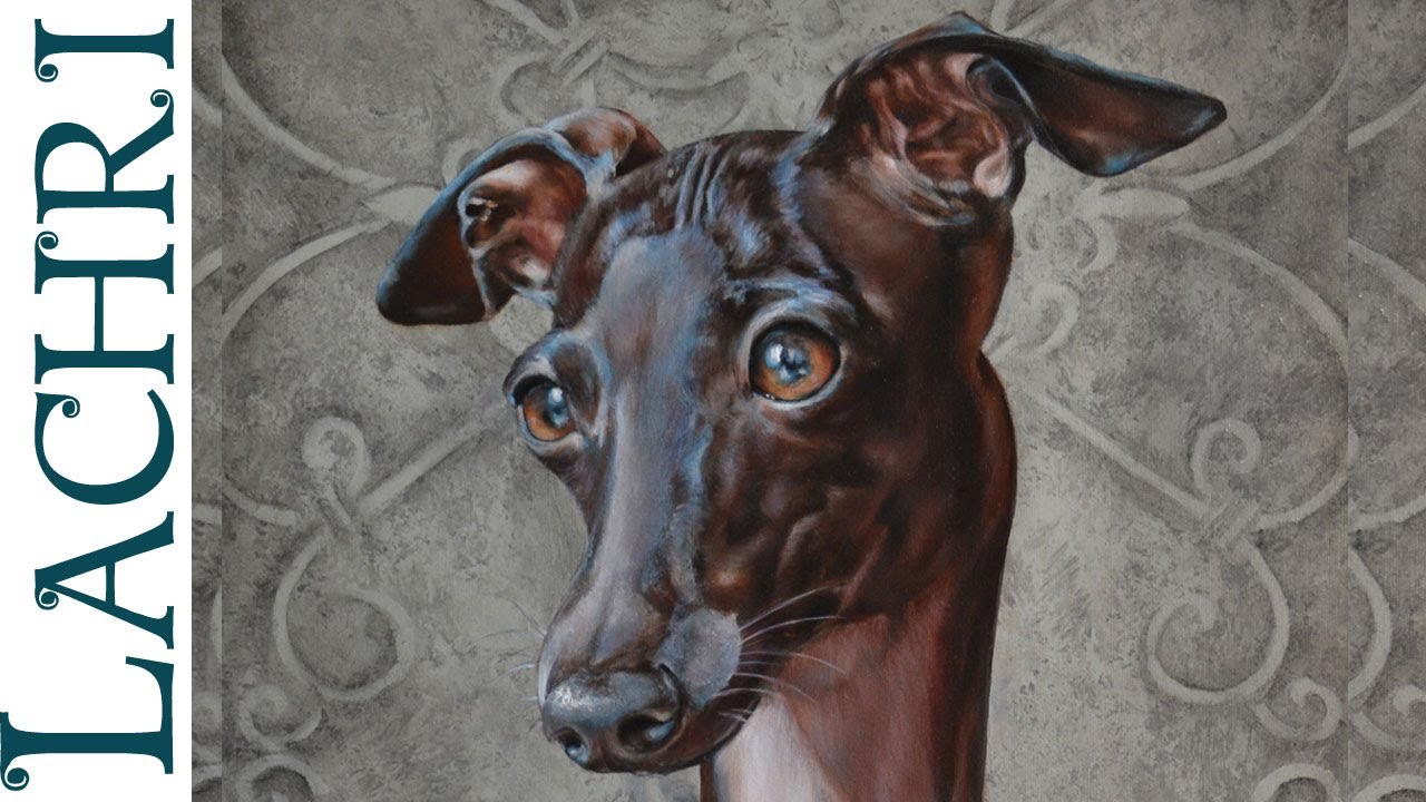 1280x720 Time Lapse Italian Greyhound Oil Over Acrylic Painting Speed - Italian Greyhound Painting