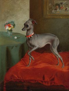 236x311 English School, 19th Century An Italian Greyhound On A Red Cushion - Italian Greyhound Painting