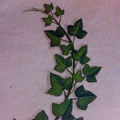 236x236 Painted Ivy On Wall - Ivy Painting