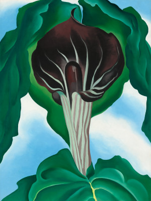 300x400 Jack In The Pulpit No. 3 - Jack In The Pulpit Painting