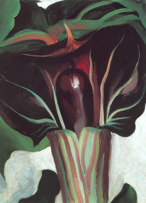 287x400 Jack In The Pulpit No.i - Jack In The Pulpit Painting