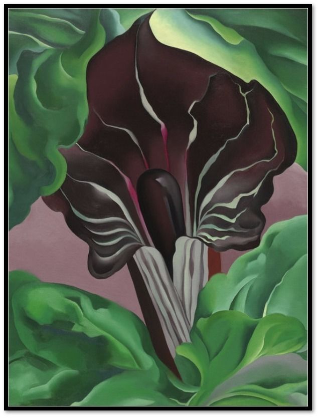 636x834 Museums.co Jack In Pulpit - Jack In The Pulpit Painting