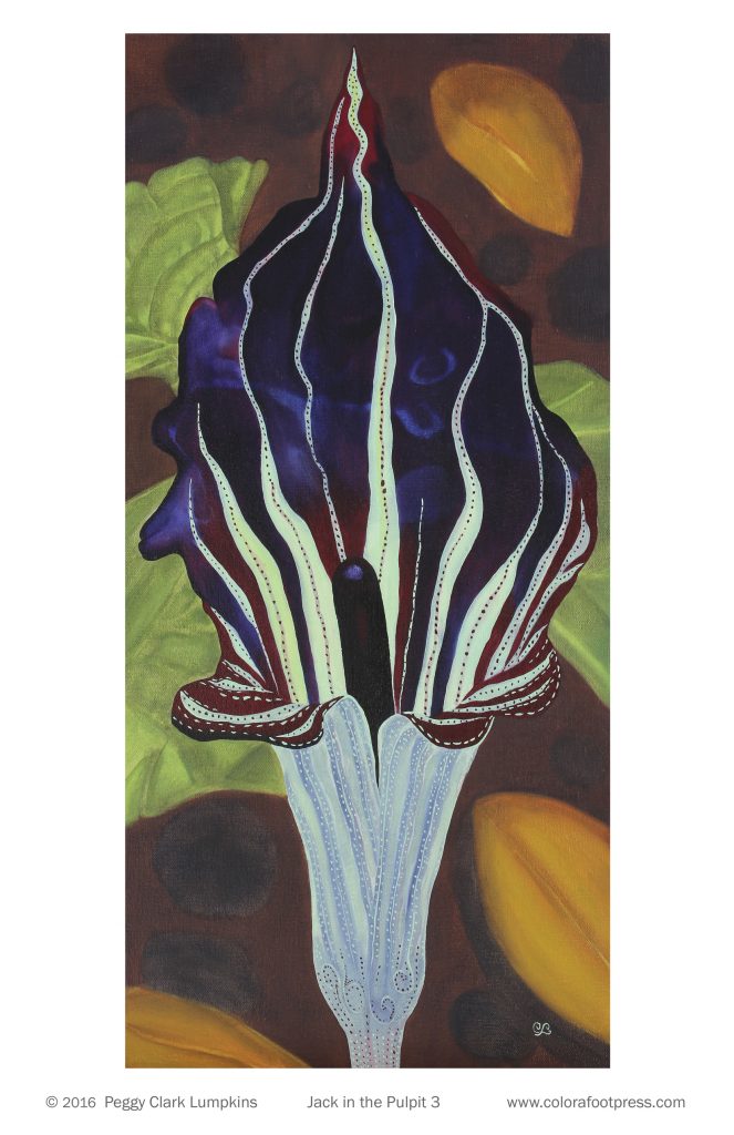 663x1024 Wildflower Posters - Jack In The Pulpit Painting