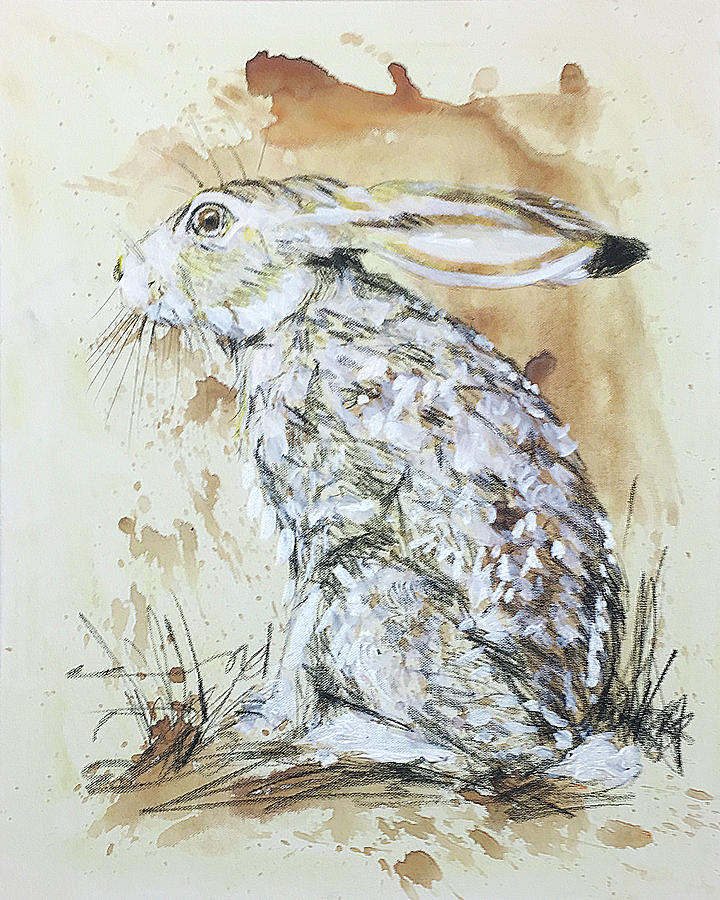720x900 West Texas Jack Rabbit In Winter Coat Painting By Charles Wallis - Jack Rabbit Painting