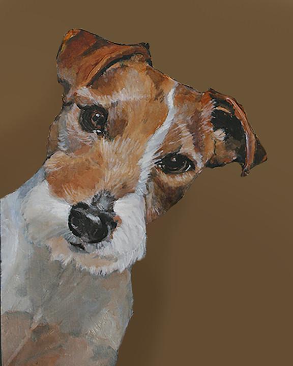 576x720 Jack Russell Terrier - Jack Russell Painting