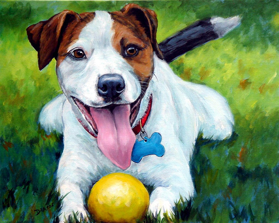 900x720 Jack Russell With Yellow Ball Painting By Dottie Dracos - Jack Russell Painting