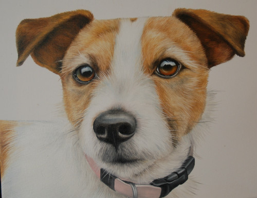 Jack Russell Painting at PaintingValley.com | Explore collection of ...