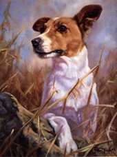 170x228 The Jack Russell Terrier Shop - Jack Russell Painting