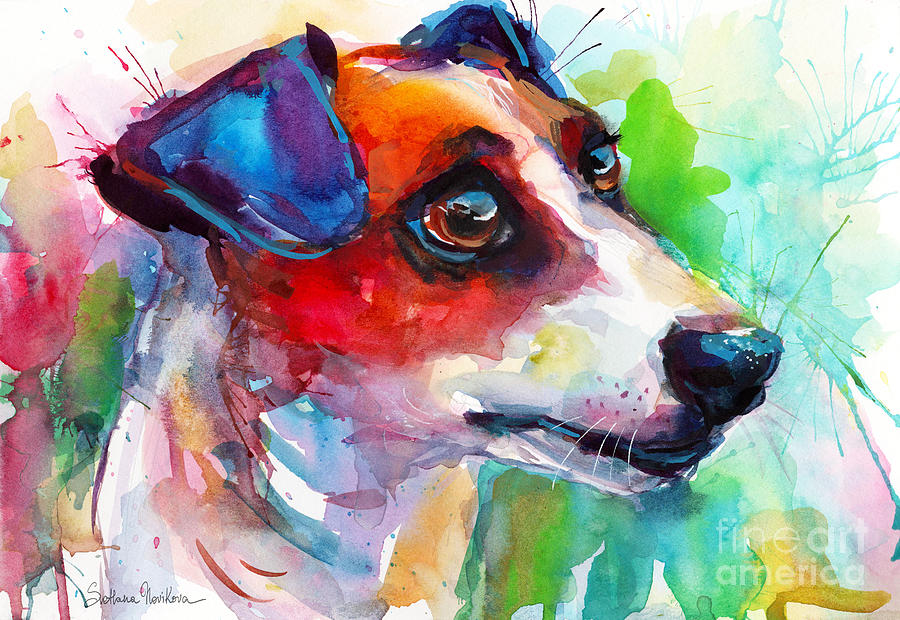 900x620 Vibrant Jack Russell Terrier Dog Painting By Svetlana Novikova - Jack Russell Painting