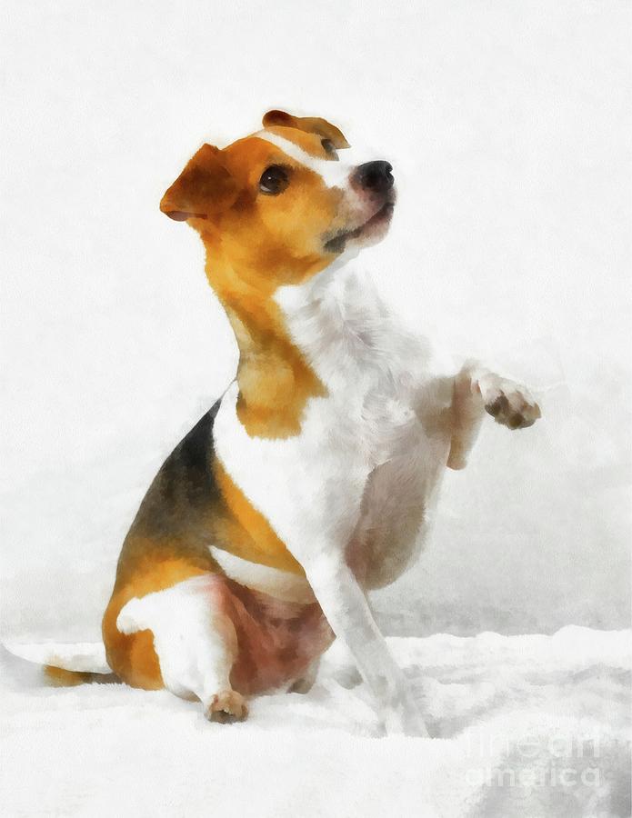 695x900 Jack Russell Terrier Painting By Esoterica Art Agency - Jack Russell Terrier Painting