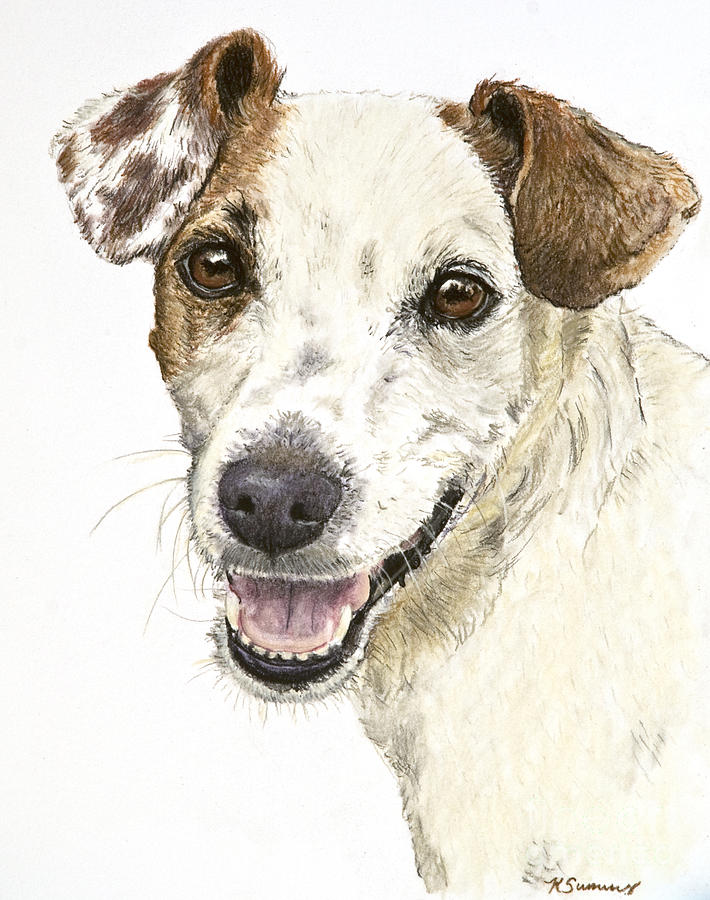 710x900 Jack Russell Terrier Portrait Painting By Kate Sumners - Jack Russell Terrier Painting