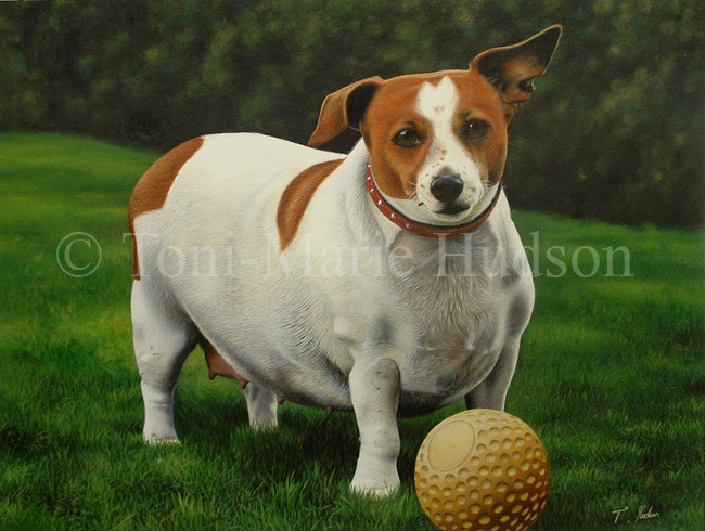 650x490 Meg - Jack Russell Terrier Painting