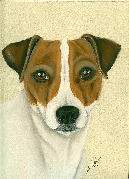 432x597 Parson Jack Russell Terrier Painting By Linda Henthorn - Jack Russell Terrier Painting