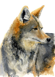 214x300 Jackal Paintings Fine Art America - Jackal Painting