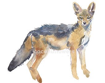 340x270 Jackal Art Etsy - Jackal Painting